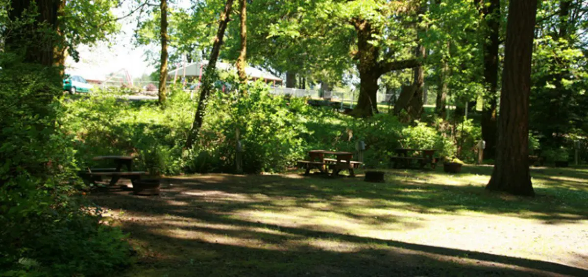 Cozy Camping Spot