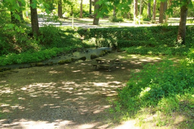 Shaded campsite beside the wooded creek at Columbus Park