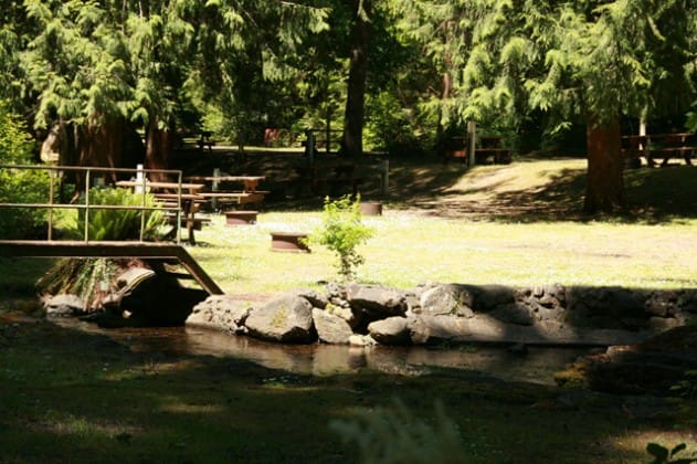 A small footbridge crosses a wooded creek beside a grassy clearing.