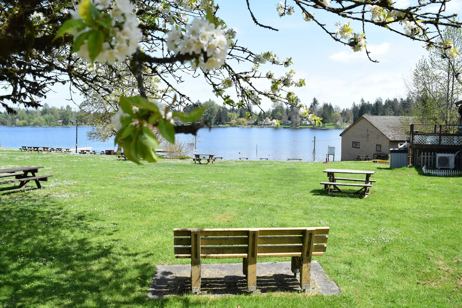 A bench facing Black Lake from the park's grassy picnic lawn