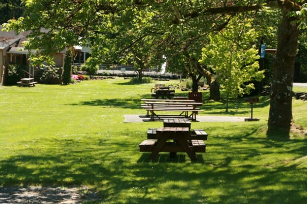 Rows of picnic tables sit on a sunny lawn shaded by mature trees.