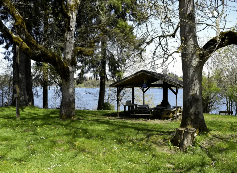 Pavillion_Covered_Lakeside